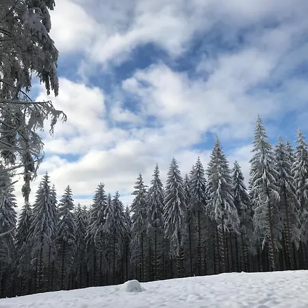 Heartbeat * Winterberg